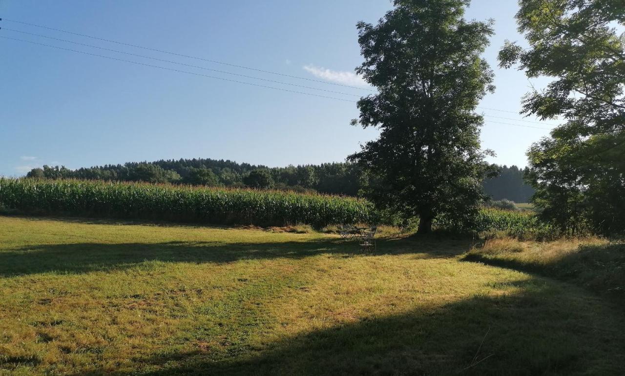 Ferienwohnungen Marienweiher Marktleugast Luaran gambar